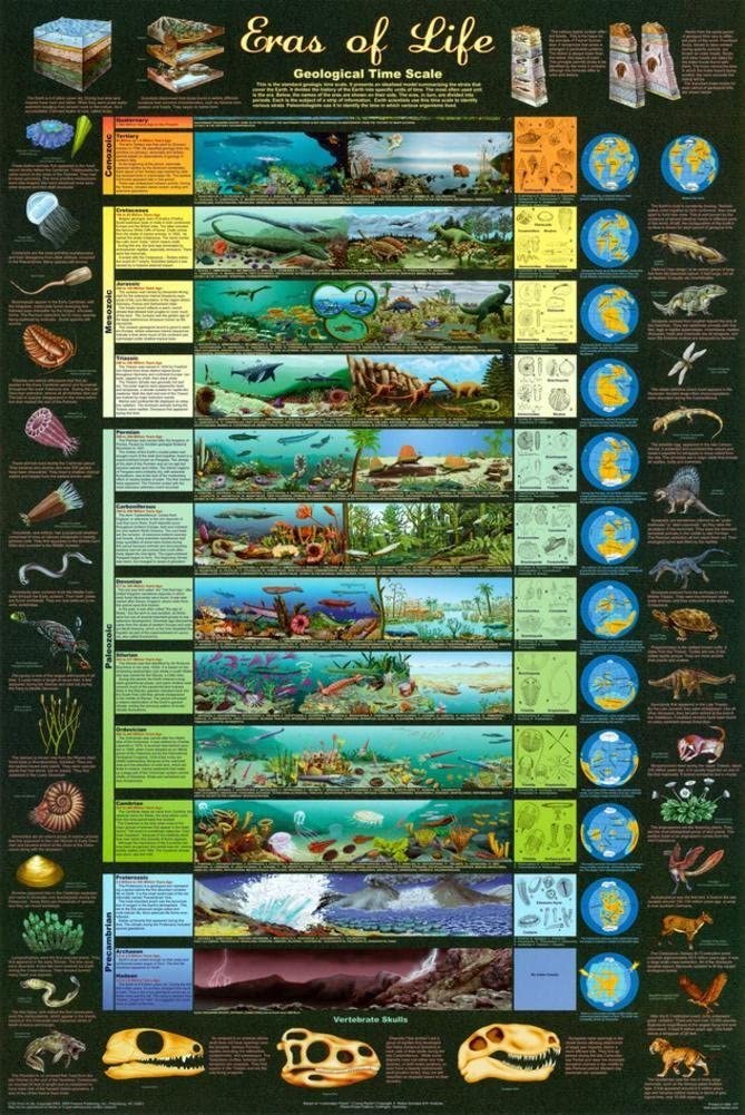 Geologic time scale poster