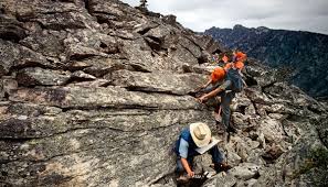 information about geologist
